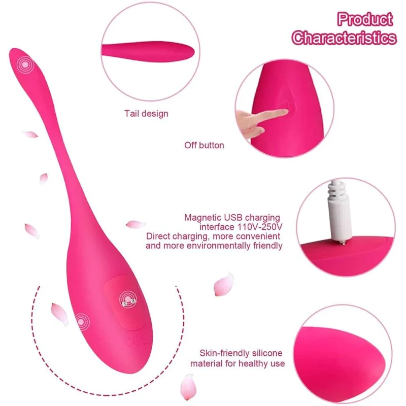 easy to charge Kegel Balls